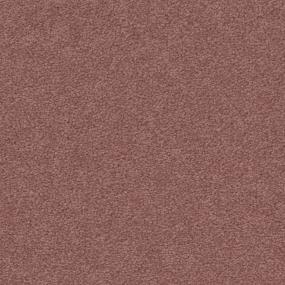 Paradise Red Zoomed Swatch