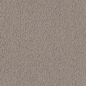 Ambitious - Mocha Swatch