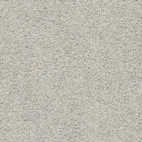 Acadia Park - Silver Screen Swatch