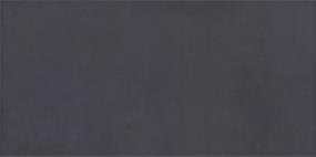 Cosmopolitan Matte 12X24 - Charcoal Swatch