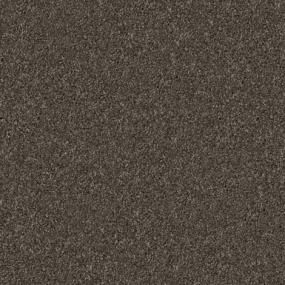 Schnauzer Swatch Thumbnail