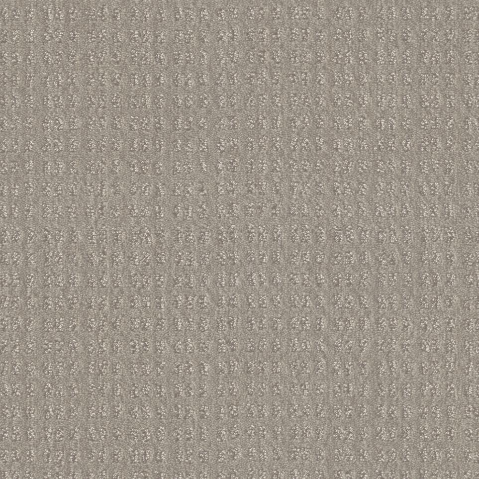 Sheer Oats Swatch