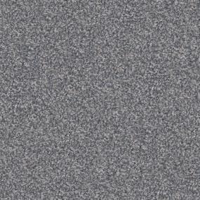 Big Dog - Pumi Swatch