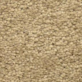 Nuez Zoomed Swatch