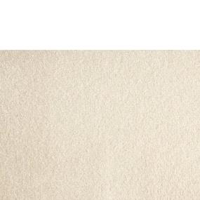 Shell Zoomed Swatch