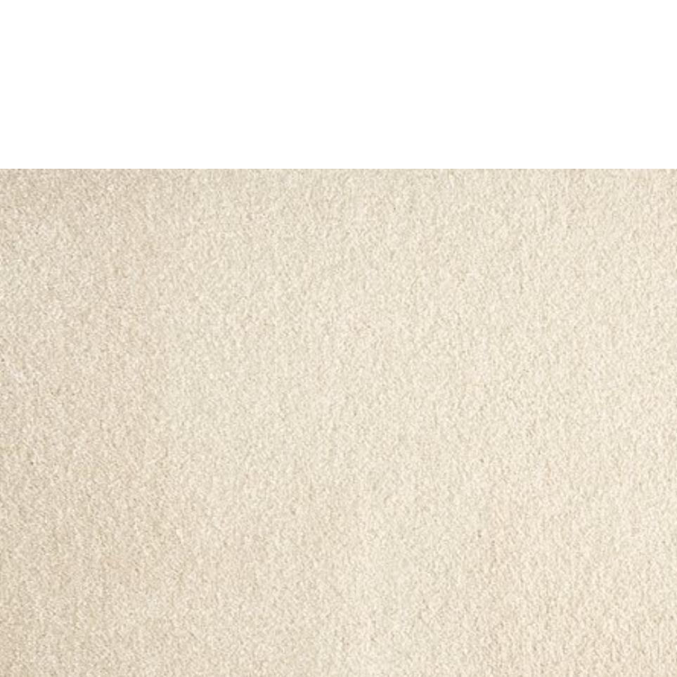 Shell Zoomed Swatch