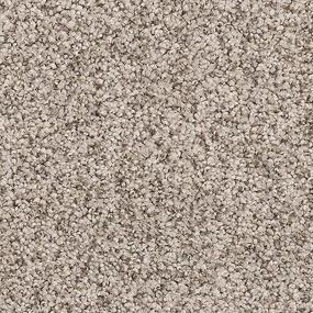 Trolley Zoomed Swatch