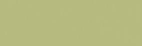 Expanse Matte 39X118 - Lime Swatch