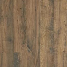 Kings Point - Brownstone Chestnut Swatch