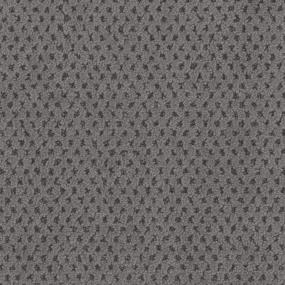 Thunder Gray Zoomed Swatch