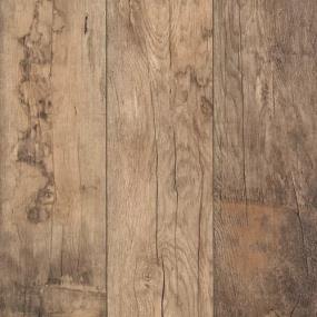 Cedar Glen - Beachwood Cream Oak Swatch