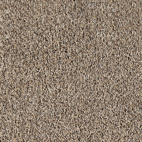 Smokey Taupe Zoomed Swatch