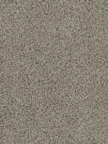 Tracker - Cinder Swatch