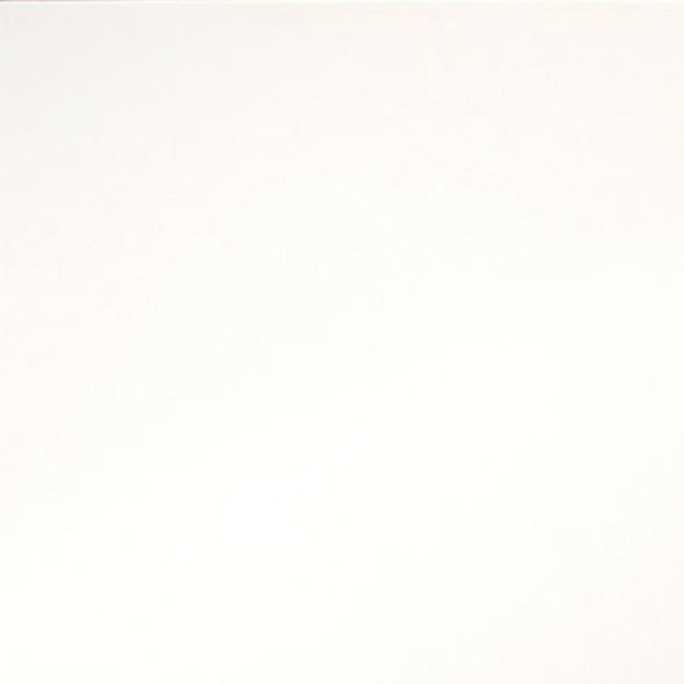 White Zoomed Swatch