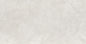 Sterlina II Polished 24X47 - Silver Swatch