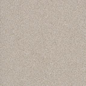 Big Dog - Shar-Pei Swatch