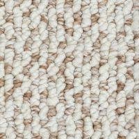 Waterford - Sand Dollar Shell Swatch