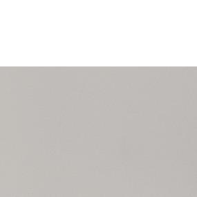 Light Gray Matte Zoomed Swatch