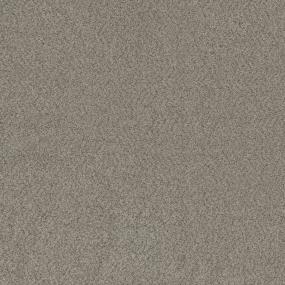 Fiesta Swatch