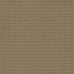 Trademark Zoomed Swatch