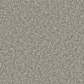 Ashes Zoomed Swatch