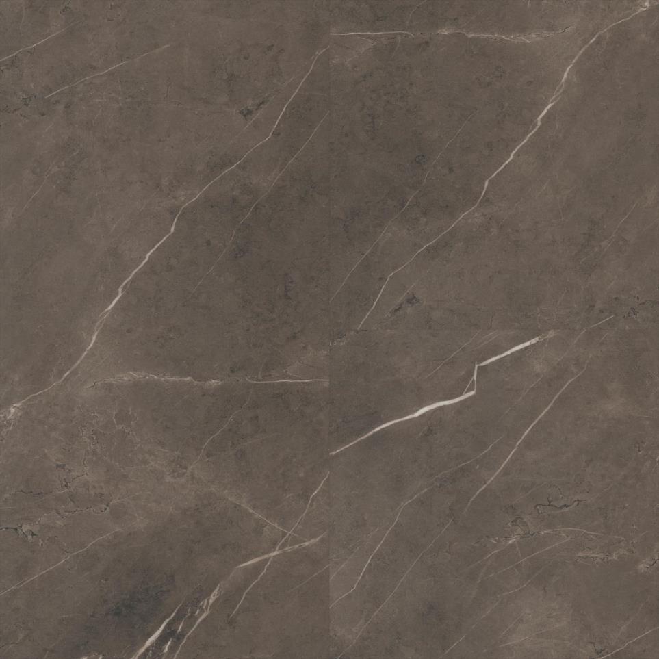 Cgt Tile 16X32 by TRUCOR - Emperador Sable