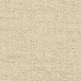 Screenplay Zoomed Swatch