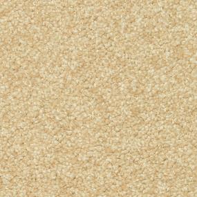 Tawny Birch Swatch Thumbnail