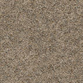 Clifton Zoomed Swatch