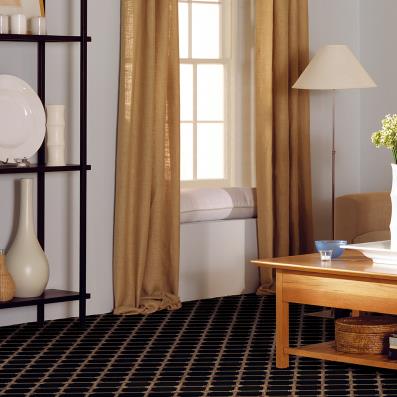 Room Scene