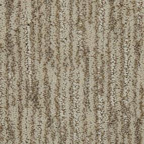 Elegant Details - Chiffon Swatch