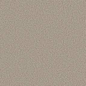 Quiet Refuge II - Driftwood Swatch
