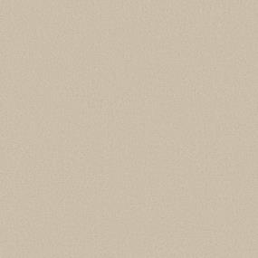 Basic Beige Swatch Thumbnail