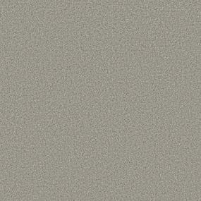 Avalon Bay - Moth Gray Swatch
