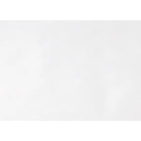 Gloss White Glossy Swatch