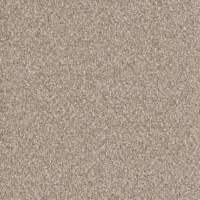 East Hampton - Acorn Swatch