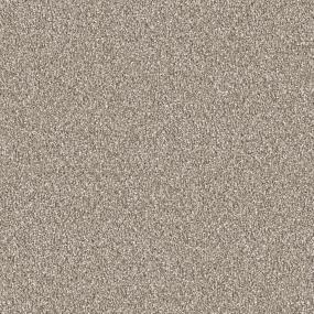 Acorn Zoomed Swatch
