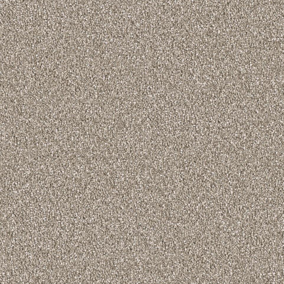 Acorn Zoomed Swatch