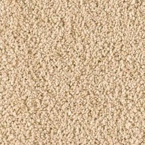 Soft Excellence - Graceful Swatch