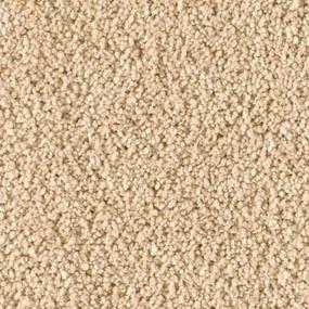 Graceful Zoomed Swatch