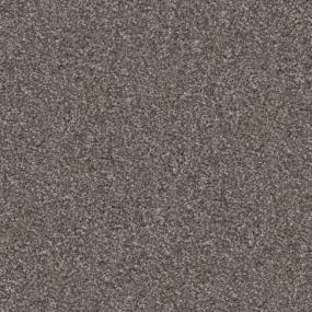 Big Dog - Frenchie Swatch