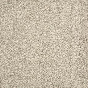 Trailblazer - Earl Grey Swatch