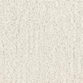 Monterey - Carmel Swatch