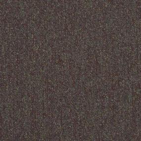 Acumen II 28 - Rocky Road Swatch