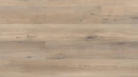 Rockcliffe Trail - Almond Milk Swatch