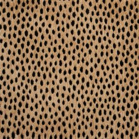 Dottie - Bronze Swatch