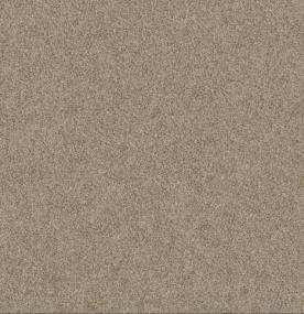 Calm Serenity II - Beige Bisque Swatch