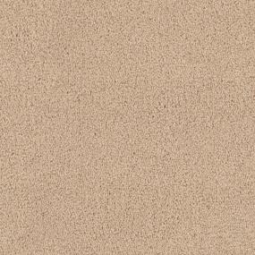 Tribute - Bora Bora Swatch