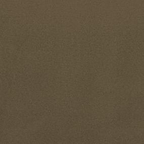 Regal Swatch Thumbnail