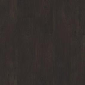Ebony Chestnut Zoomed Swatch